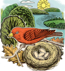 Birds.gif - 45444 Bytes